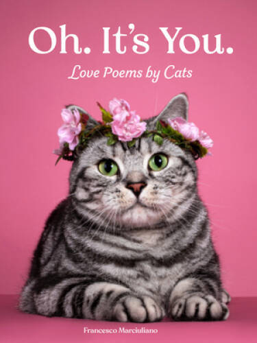 Oh Its You: Love Poems by Cats – Hardcover – VERY GOOD