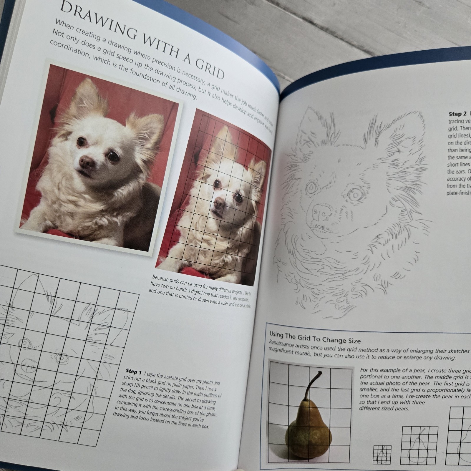 Shortcuts & Artists’ Secrets Quick Methods for Realistic Drawing Book
