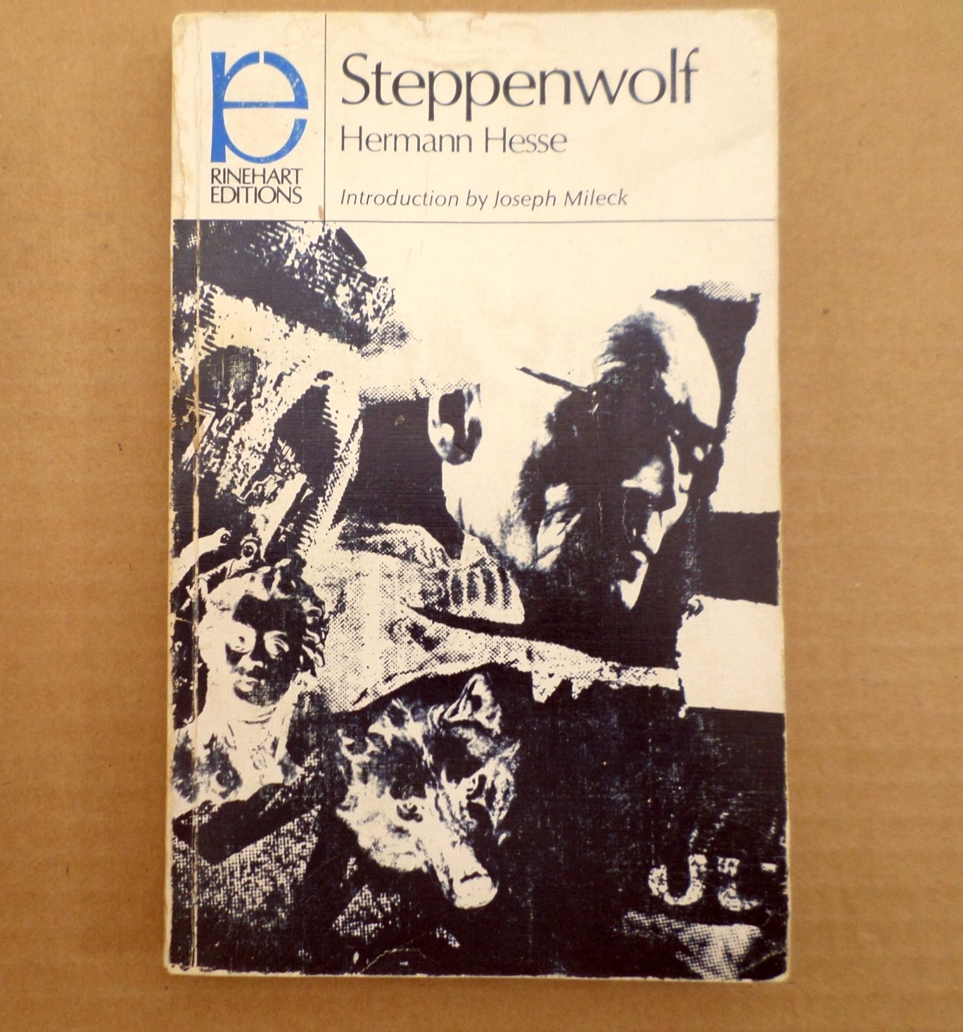 Vintage Book Steppenwolf Hermann Hesse 1963 Vintage PB Rinehart Editions