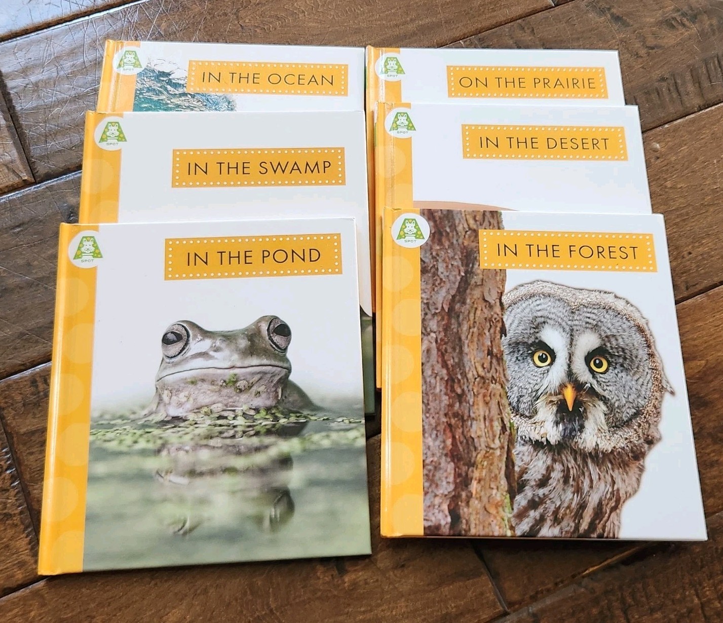 Amicus Learning Hardcover Book Lot Of 6 New “In The” Series Thielges