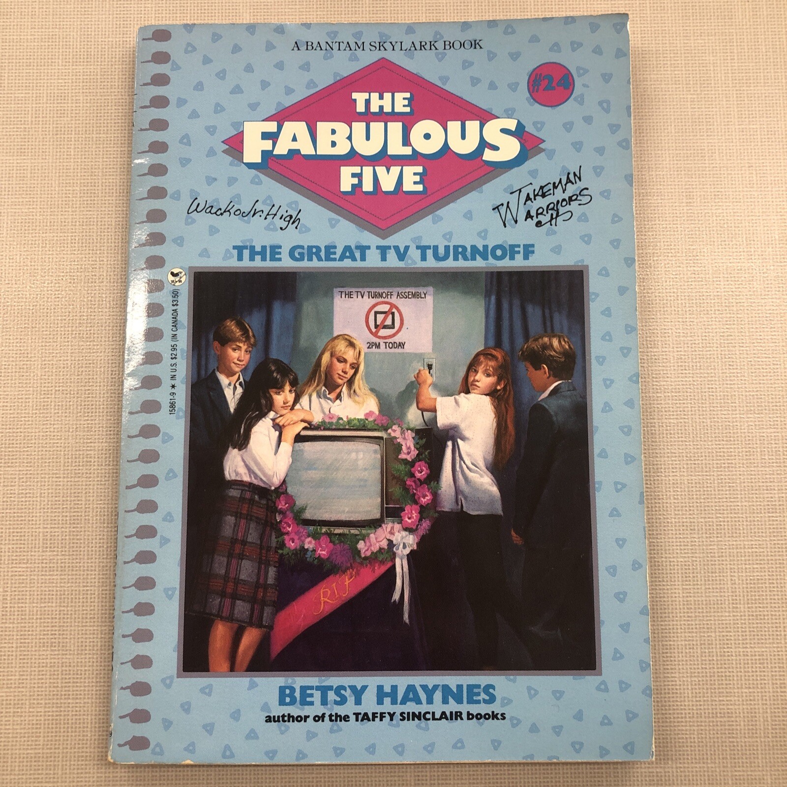The Great Tv Turnoff (Fabulous Five) Haynes, Betsy paperback Used – Good