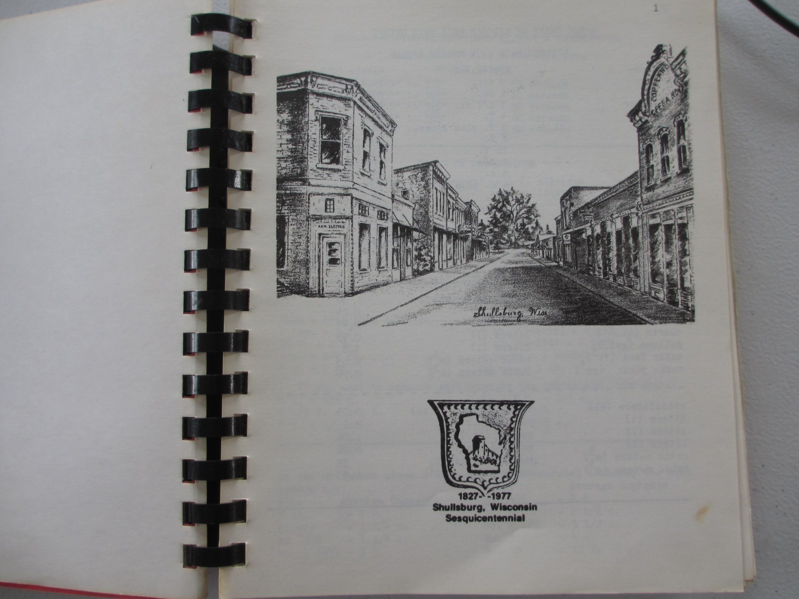 Vintage 1977 Shullsburg Wisconsin Sesquicentennial Cook Book Recipes 500+ pages