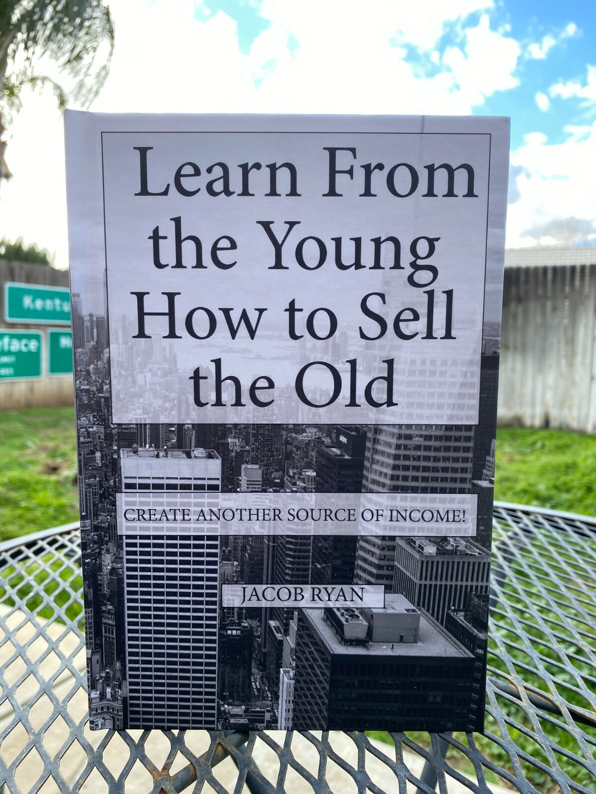 Book Learn From the Young How to Sell the Old Flipping Antiques Color Copy