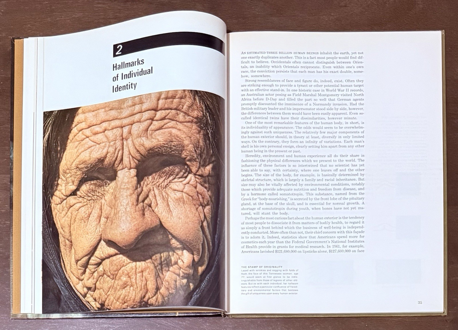 The Body by Alan E. Nourse, Time Life Science Library. Entertaining To Read Look