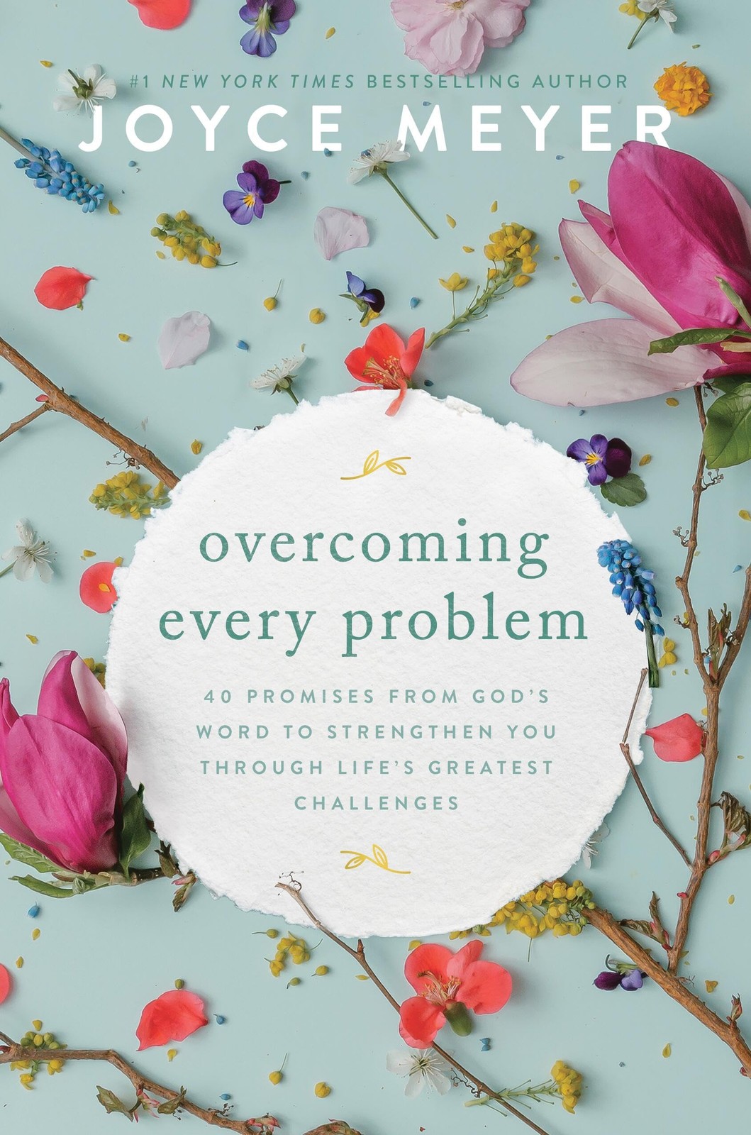Overcoming Every Problem: 40 Promises from God’s Word to Strengthen You Th…