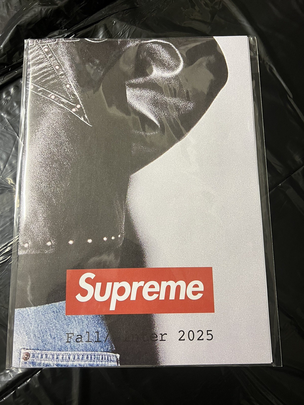 Supreme FW25 Lookbook Poster brand new box logo tee shirt hoodie hat jacket bag