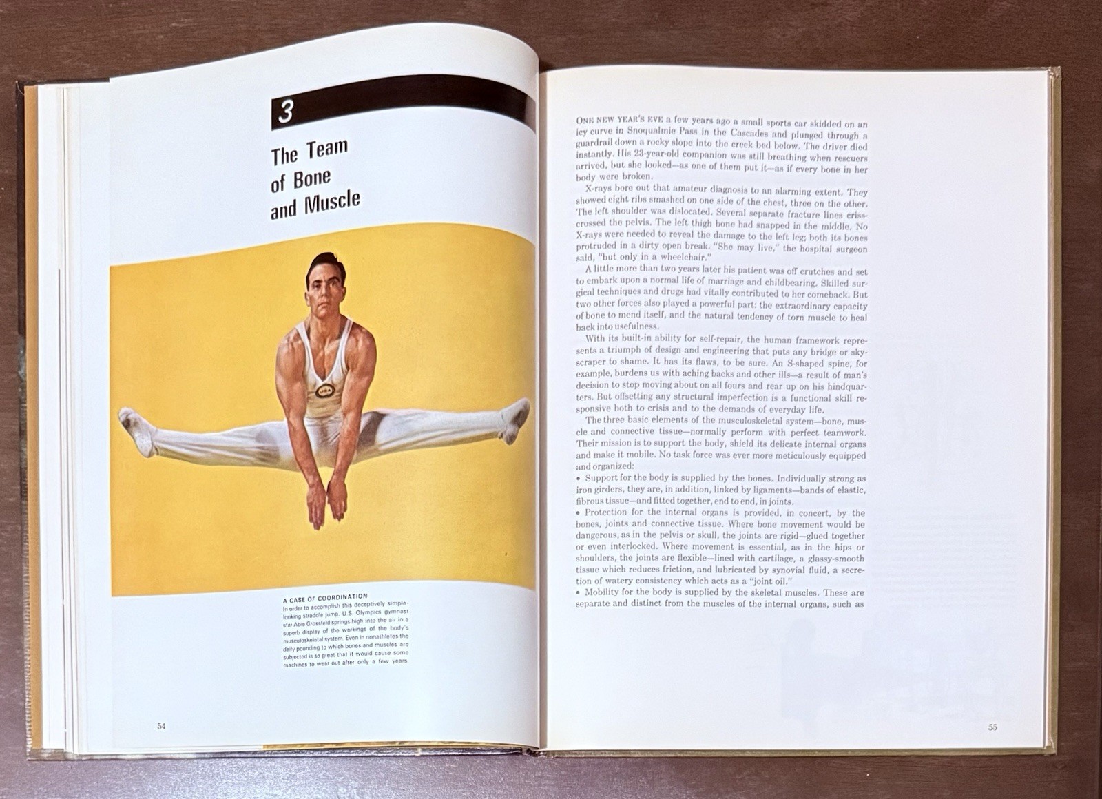 The Body by Alan E. Nourse, Time Life Science Library. Entertaining To Read Look