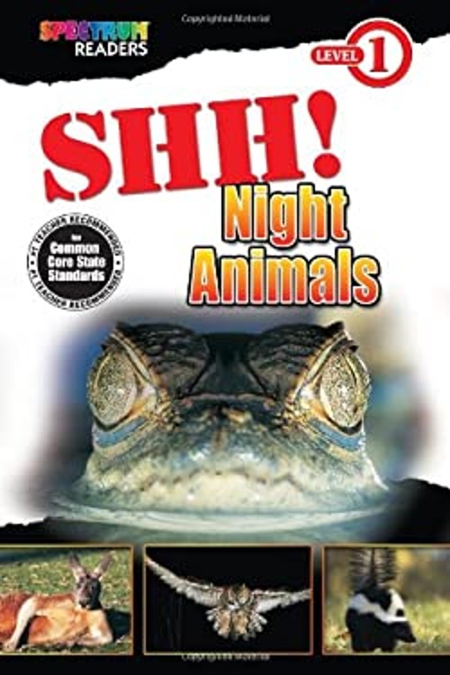 Shh! : Night Animals Paperback Katharine Kenah