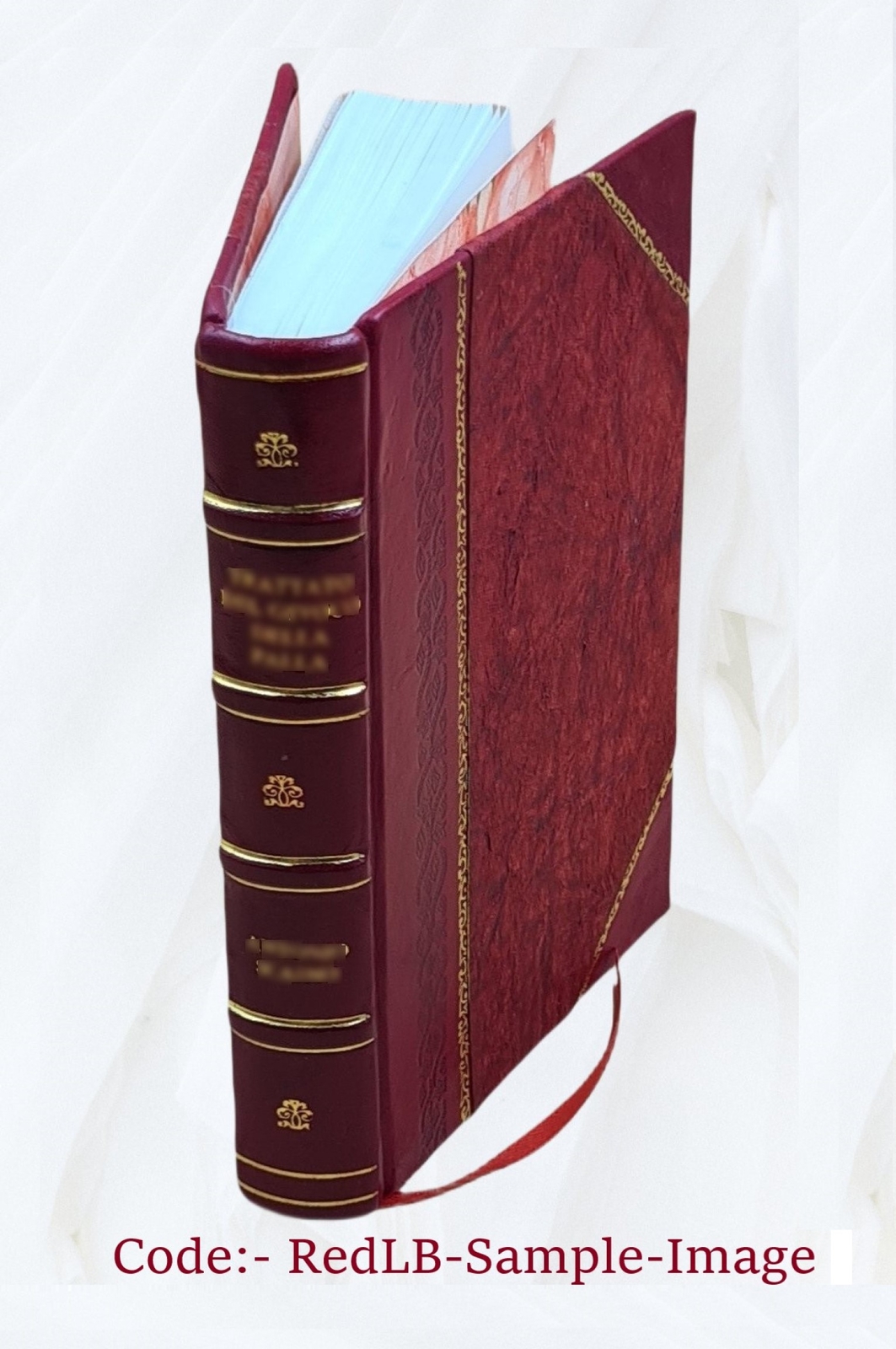 Consumption Its Prevention And Cure By The Water Treatment 1850 [Leather Bound]