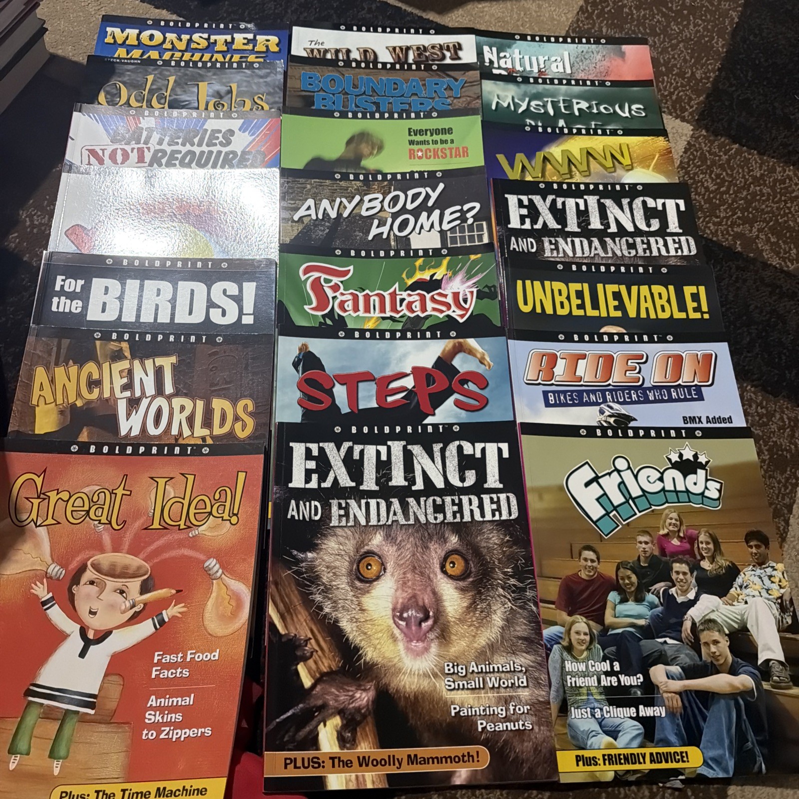 Lot of 21 Boldprint Steck Vaughn Books For Kids