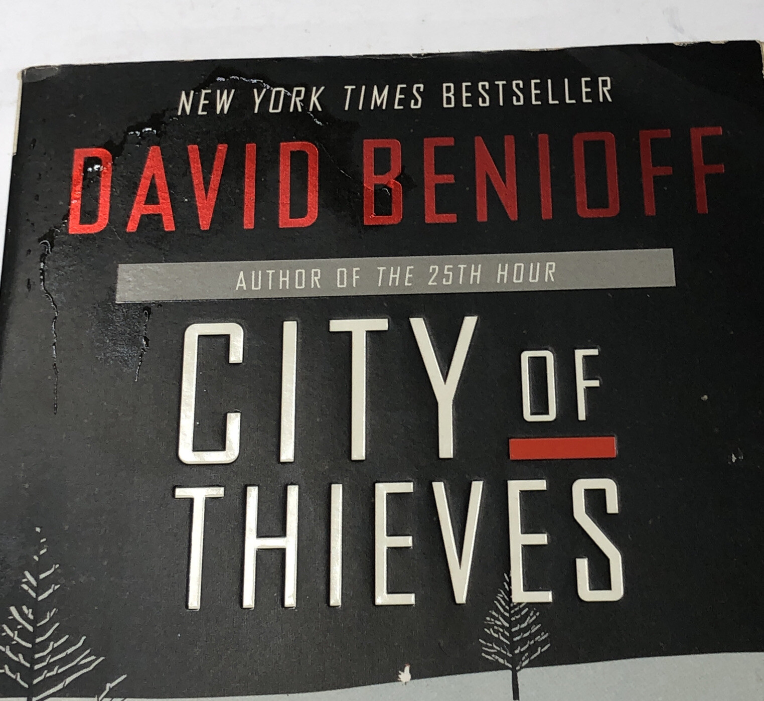 City of Thieves: A Novel – by David Benioff, Paperback