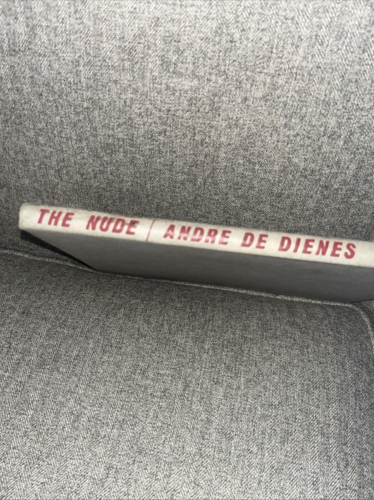 The Nude Andre De Dienes, hardcover, 1967 B&W Nude Photography