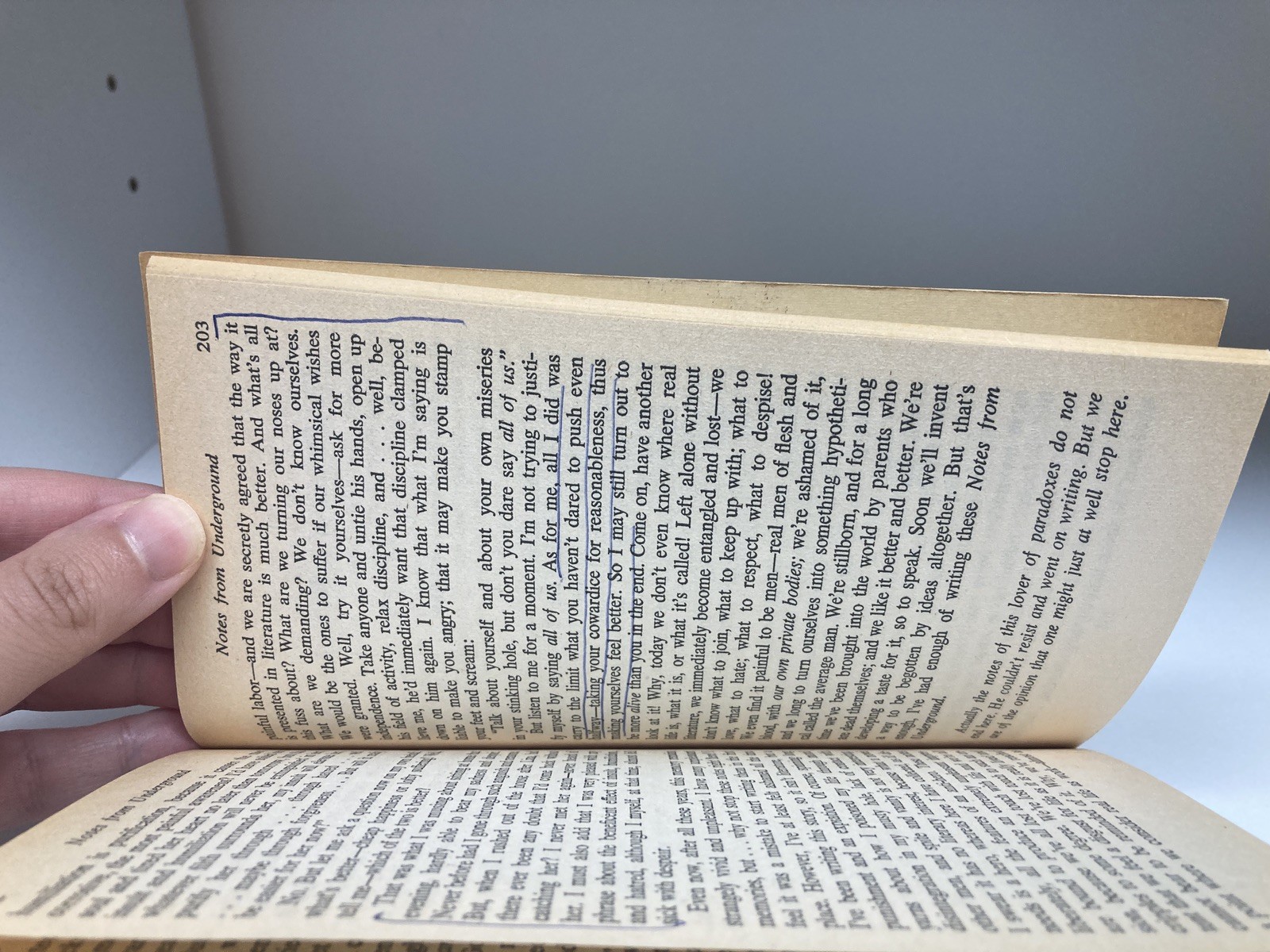 Notes From Underground by Fyodor Dostoyevsky, 1961 Signet Classic Paperback