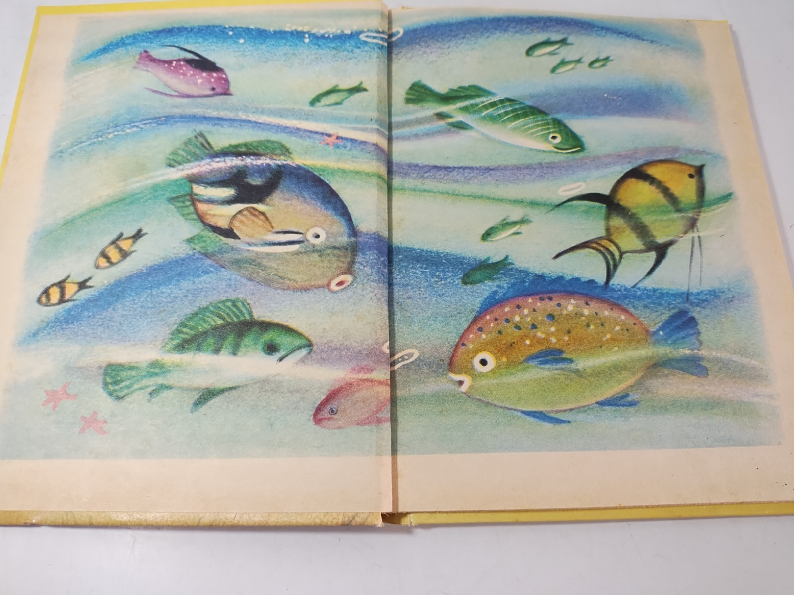 Vintage Captain Kitty Rand McNally Junior Elf Book #8049 1951 Illustrated Cats