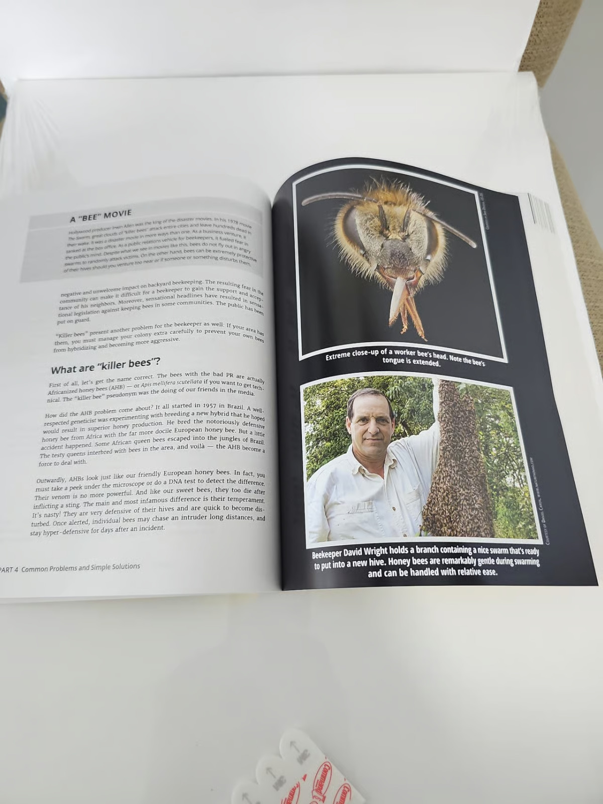 Beekeeping For Dummies, 5th Edition by Howland Blackiston
