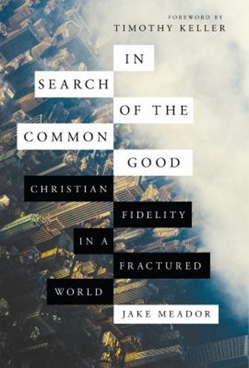In Search of the Common Good : Christian Fidelity in a Fractured