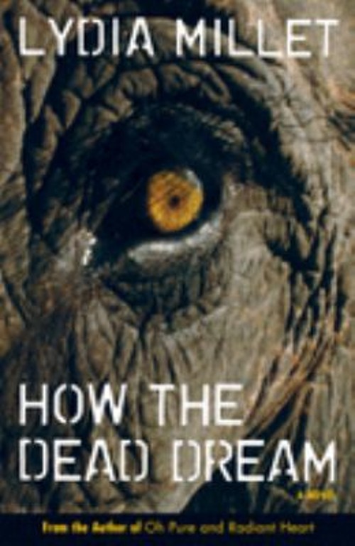 How the Dead Dream : A Novel Hardcover Lydia Millet