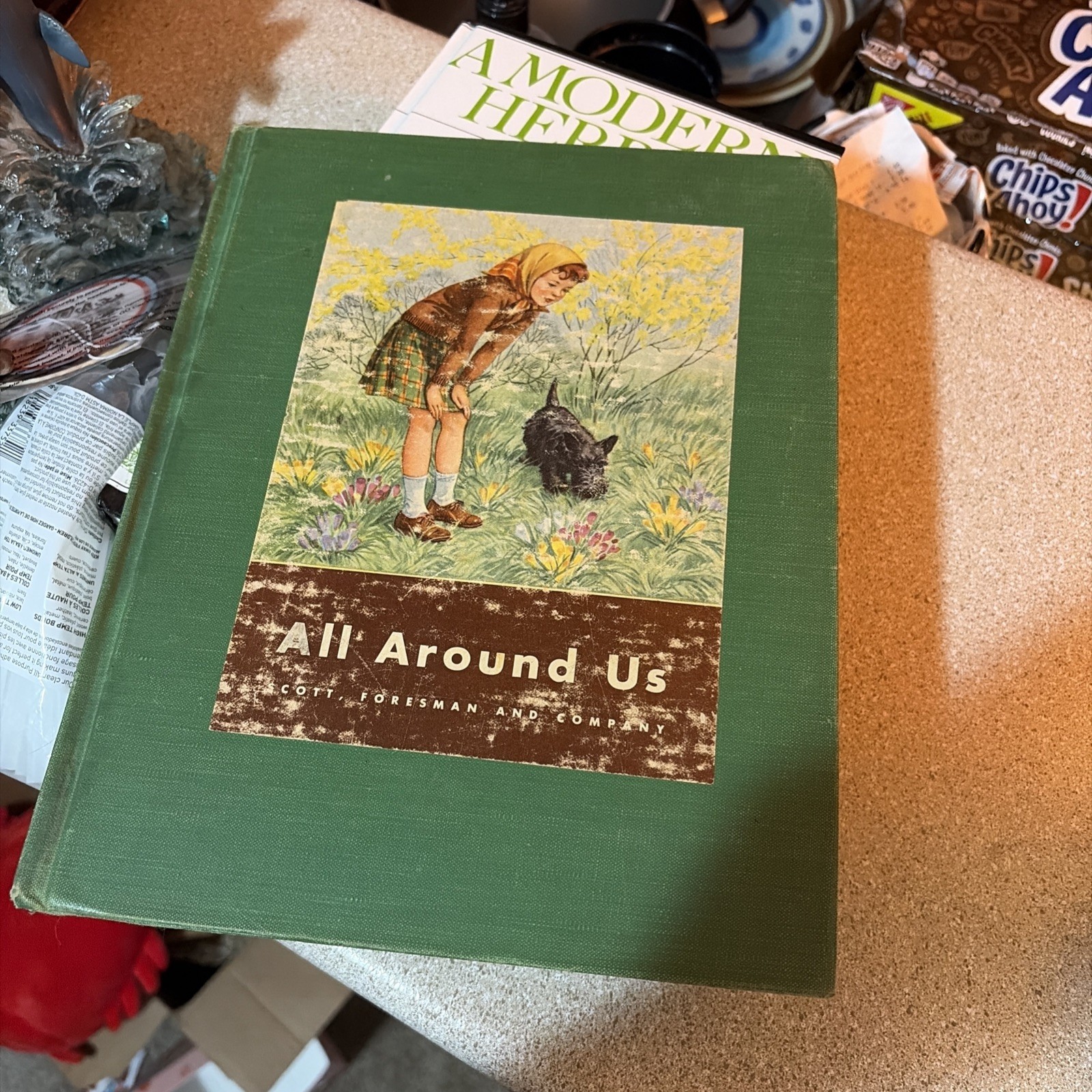 Vintage 1944 ALL AROUND US Book Scott Foresman and Company Early Science Text