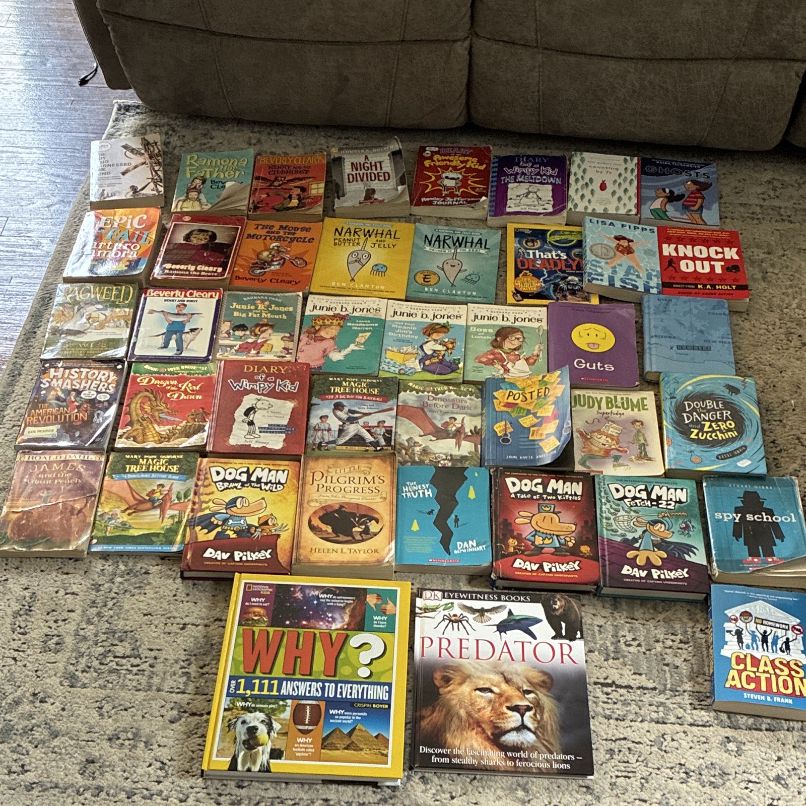 43 Scholastic Mixed Lot Ages 7-12 Paperback Books