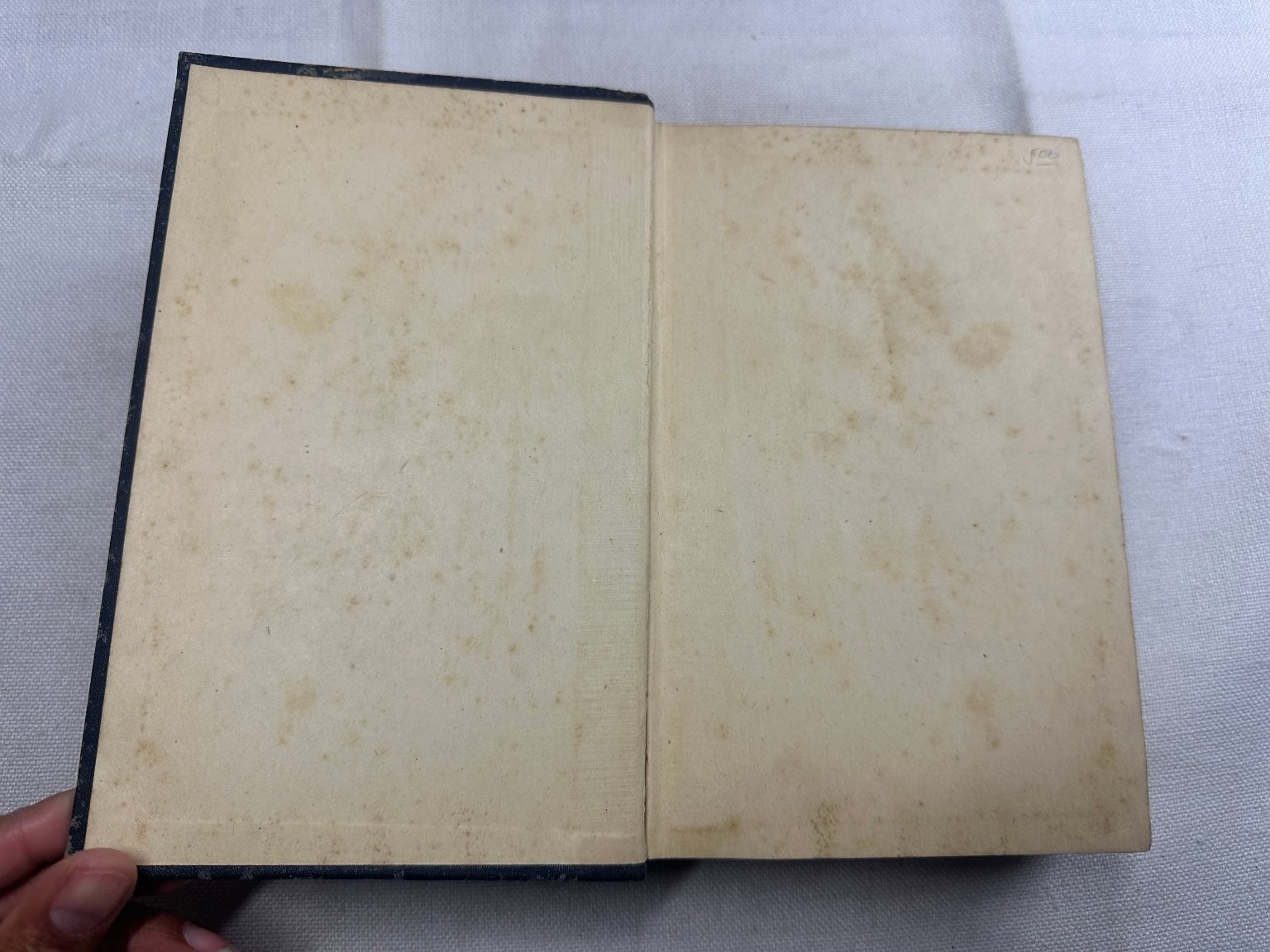 Appleton’s New Spanish Dictionary Cuyás Llano 1928 Revised Bilingual D. Appleton
