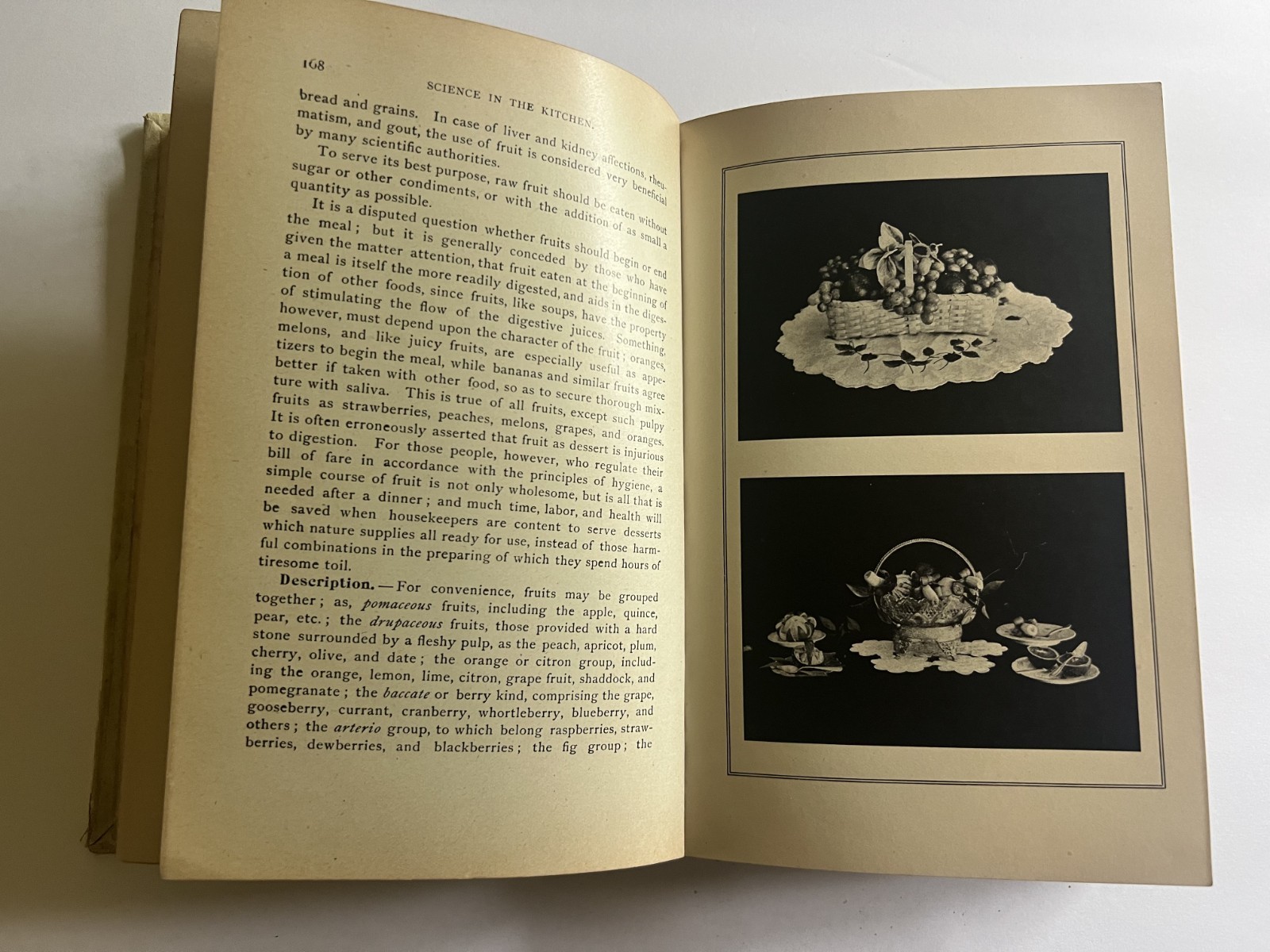 MRS E.E. KELLOGG Science in the Kitchen HB Health Publishing 1892 cookbook