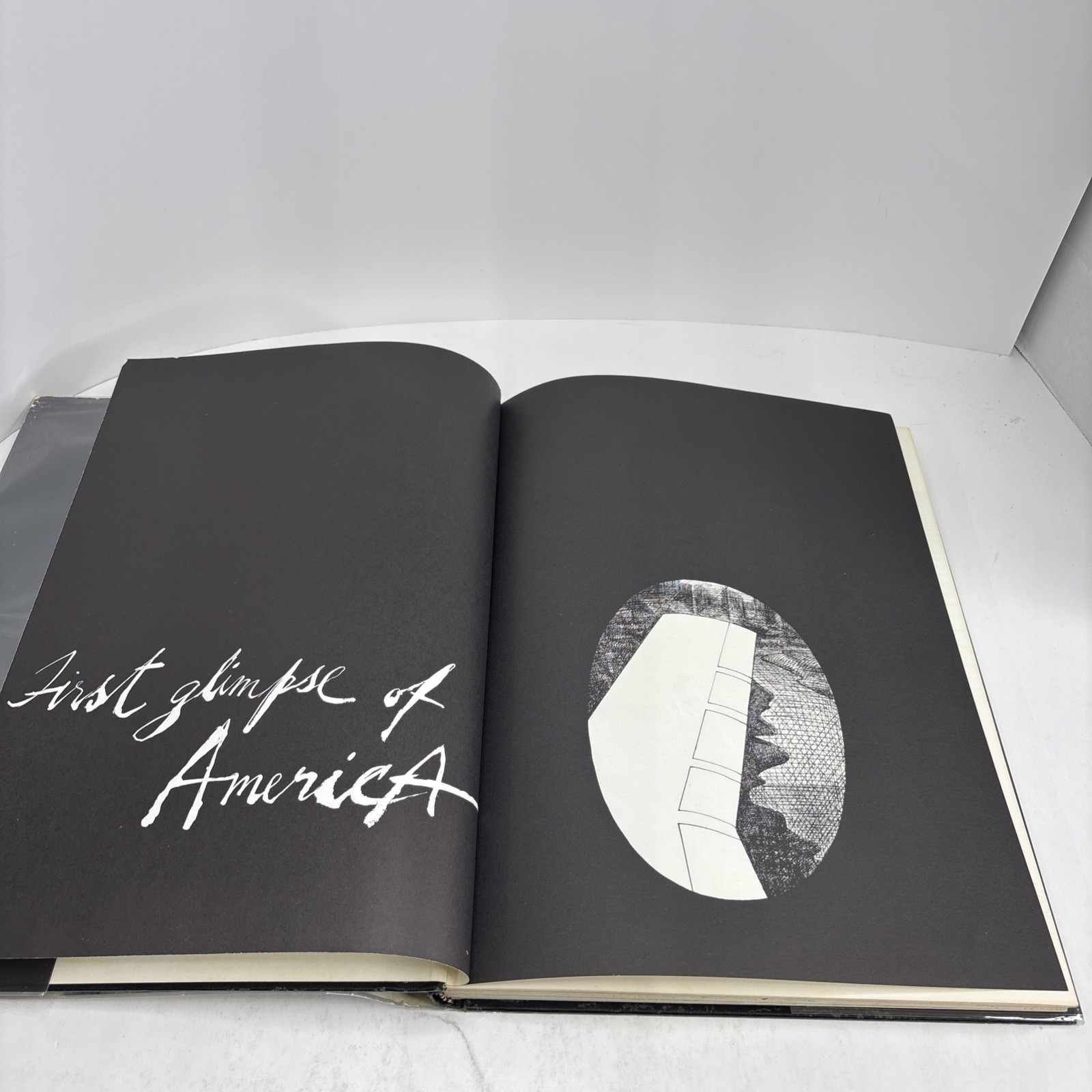 AMERICA by Ralph Steadman First Ed. Hardcover 1974 – Intro by Hunter S. Thompson