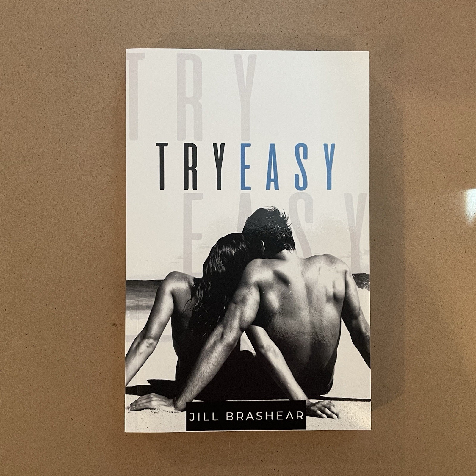 Try Easy by Jill Brashear (2019, Trade Paperback)