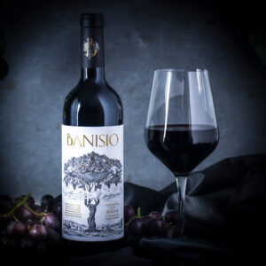 Banisio Rioja Crianza 2018