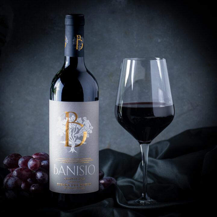 Banisio Crianza 2016 - Ribera del Duero