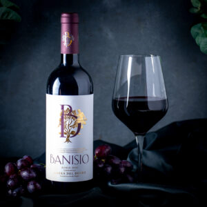 Banisio Tempranillo 2018 - Ribera del Duero